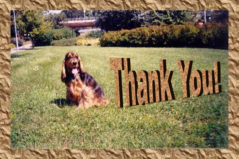 Thank You!